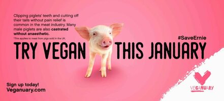 6 Powerful Examples of Cause-Related Marketing