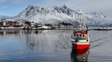 Phishing vs Spear Phishing: Differences and Examples