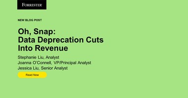 Oh, Snap: Data Deprecation Cuts Into Revenue