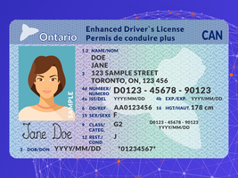 Experts Explore the Future of Digital Identity in Canadian Financial Services