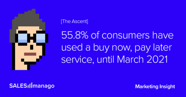Buy-now-pay-later services are flourishing. How they are changing the eCommerce experience  |  SALESmanago – AI Customer Data Platform with Omnichannel Execution