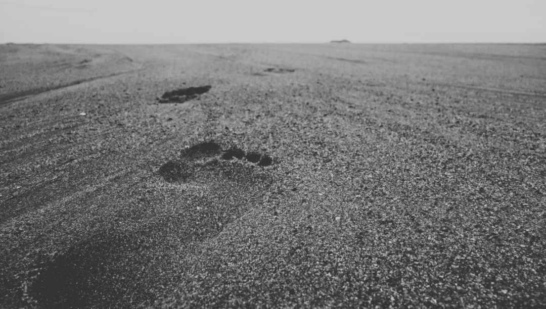 Audit or Bust: Why Enterprise Marketing Ops Can't Trust the Instant Answers of Black Box AI