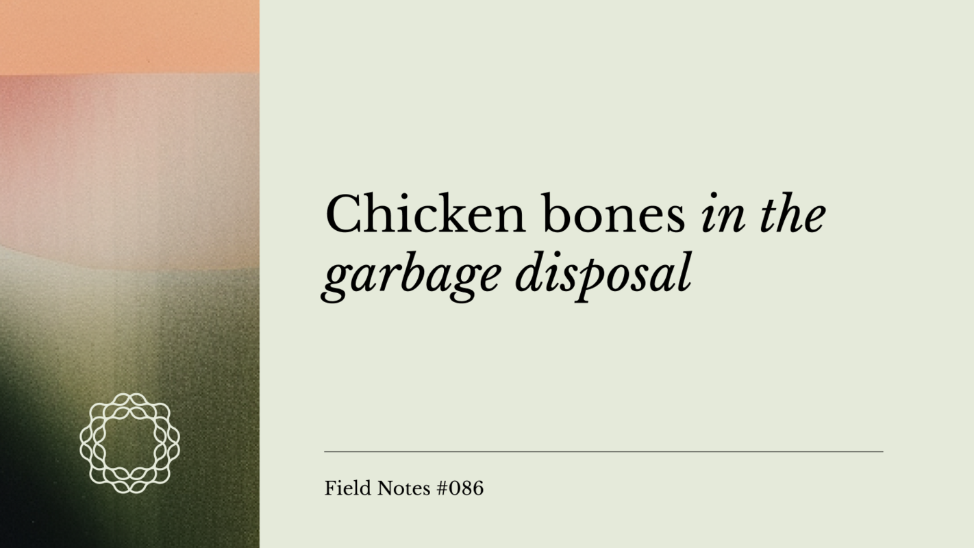 Field Notes #086: Chicken bones in the garbage disposal