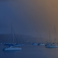 INFUSE Insights Report: Voice of the Buyer 2024