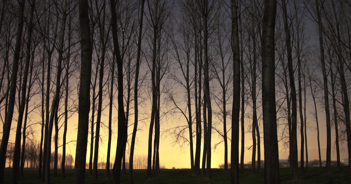 Want Mobile Messages That Stick Around? Try Our Industry-First News...