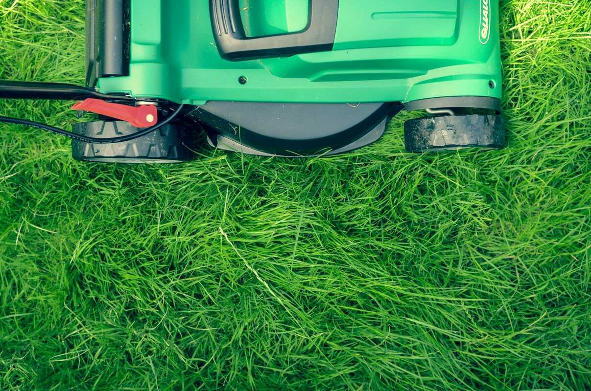 Starting a Landscaping Business? Read This First