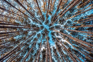 Strategies for growing your online customer base • VBOUT