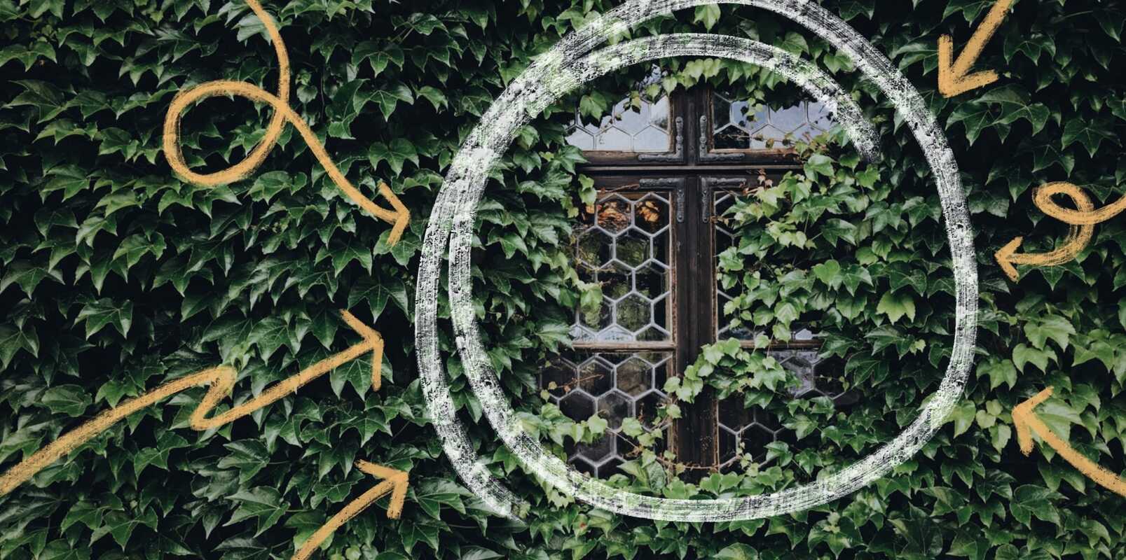 The power of a niche: How Monica Lent built a thriving paid community for developers