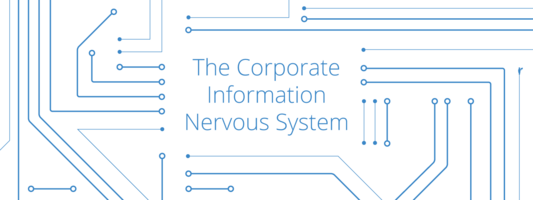 The Corporate Information Nervous System | SoapBox