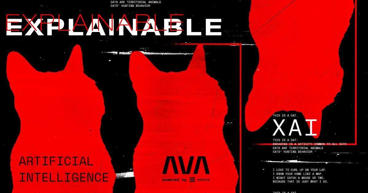 XAI: Explainable Artificial Intelligence