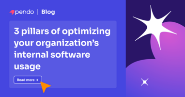 3 pillars of optimizing your internal software usage