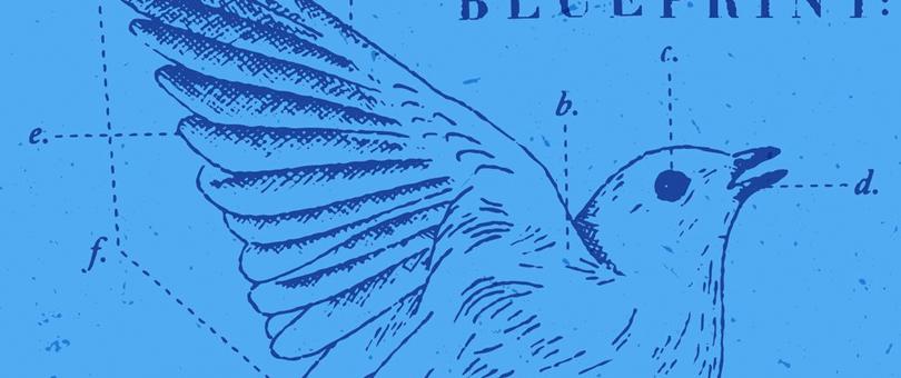 The Small Business Blueprint to Marketing on Twitter