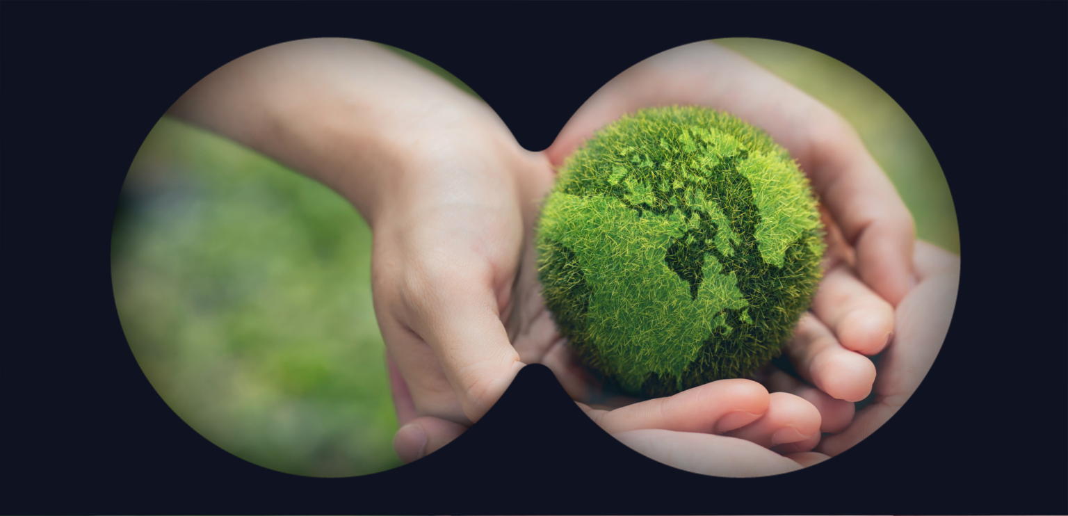 Scout: Brands Up Their TikTok Spend, Digital Advertising's Carbon Footprint, and More 