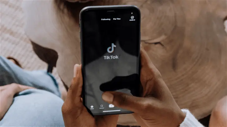 TikTok Influencer Marketing Pros and Cons for Small Businesses