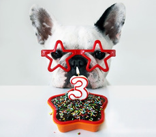 What I Learned in 3 Years of Writing a Newsletter