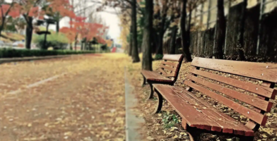 Ask Me Anything: Preparing for the Fall Semester