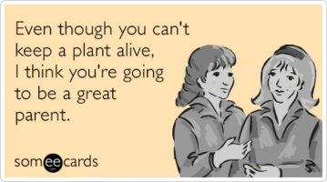 3 No-Brainer Ways to Optimize Your Keywords