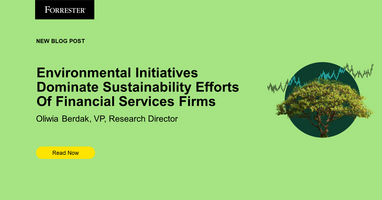 Environmental Initiatives Dominate Sustainability Efforts Of Financial Services Firms