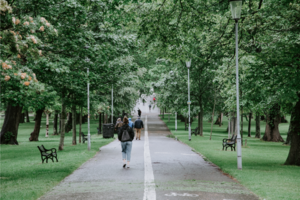 How to Make the Planet a Stakeholder in Your Business