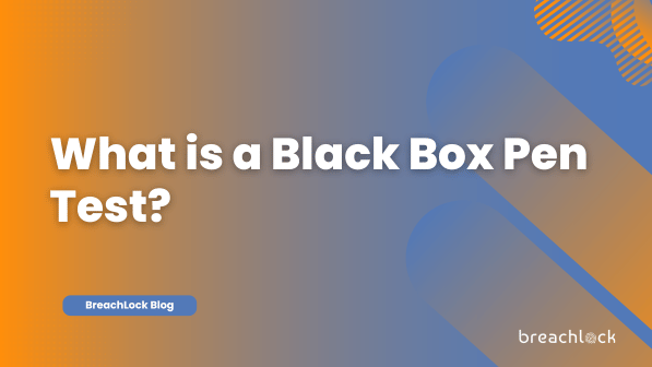 What is a Black Box Pen Test?
