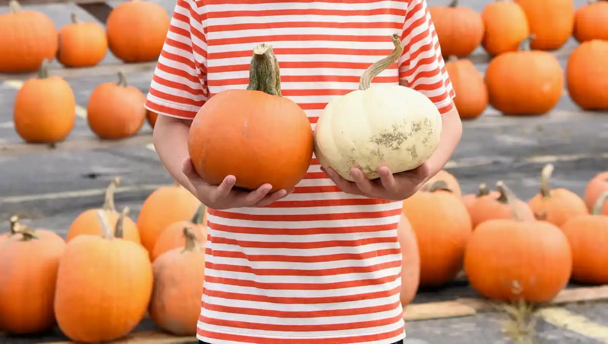 What Is A/B Testing? A/B Testing and Split Testing Explained