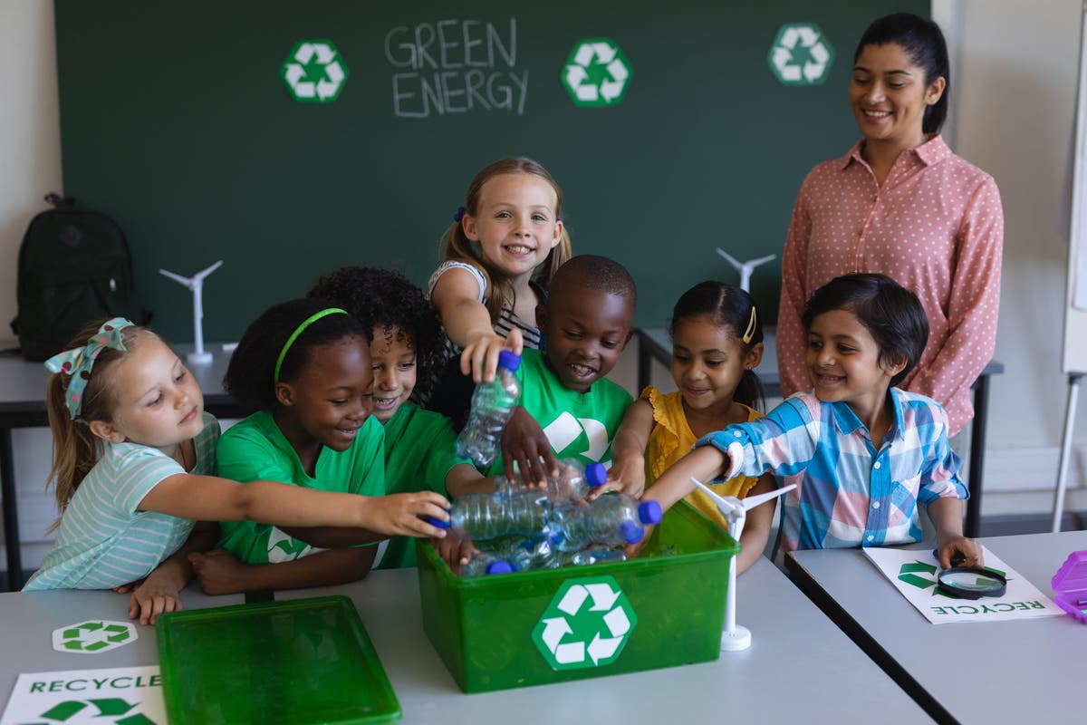 How to Create Sustainable Environments in School