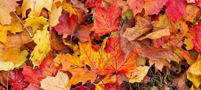 3 Can't-Miss Events for Sales Enablement Pros This Fall