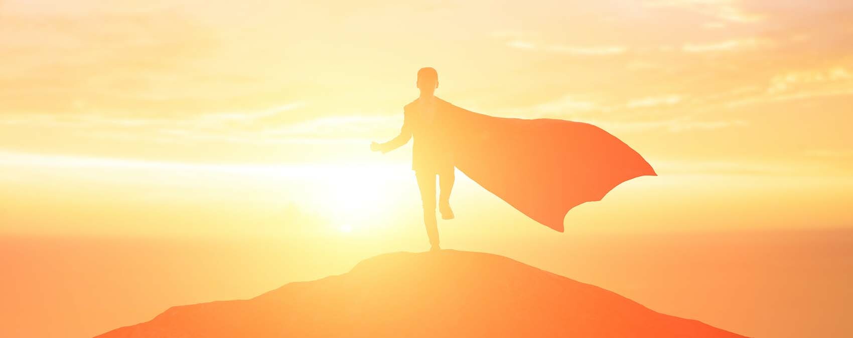 It's a Bird ... It's a Plane ... It's Your Customer the Hero