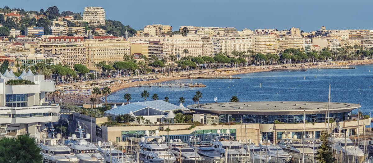 Perspectives from Cannes Lions 2019: Creativity Reigns