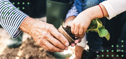 The Difference between Drip & Nurture Email Campaigns | Klaviyo Blog