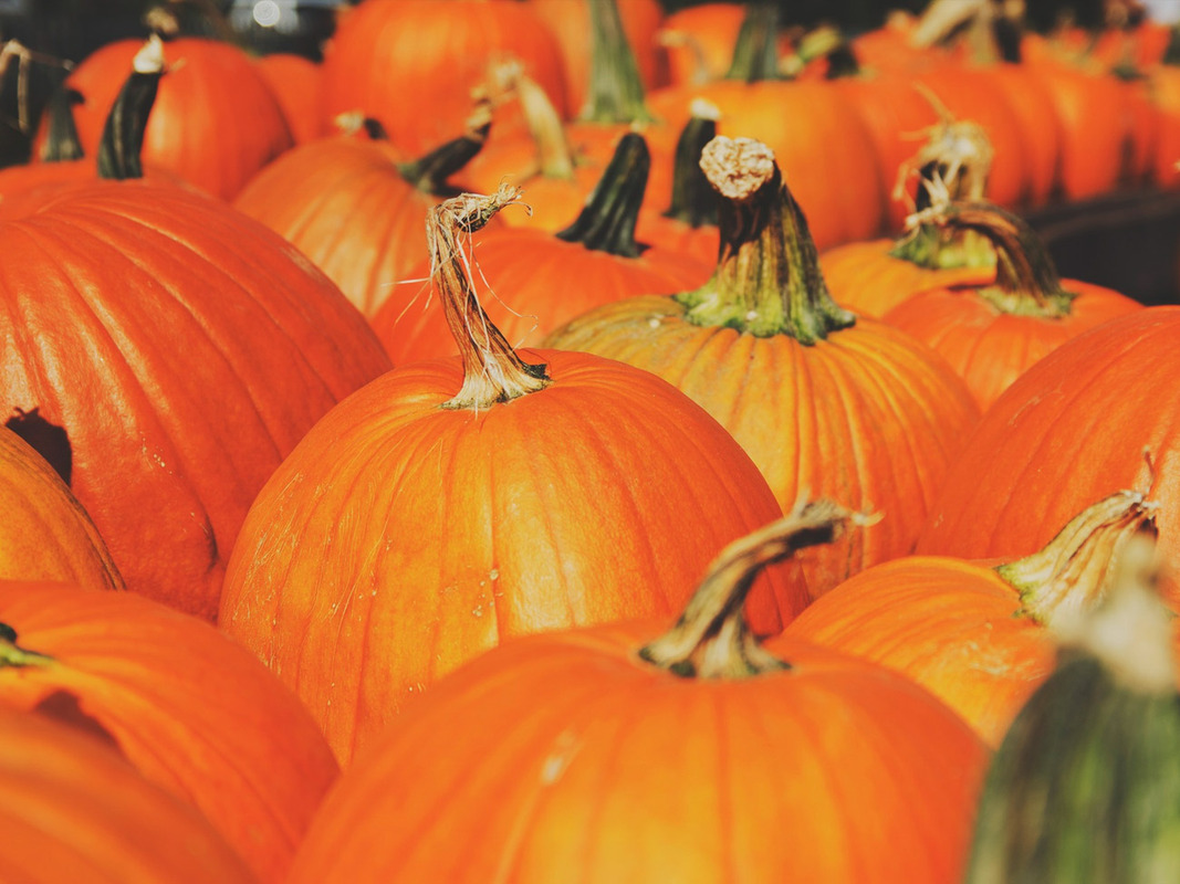 15 Clever Halloween Costumes for Content Marketers - Ceros Inspire: Create, Share, Inspire