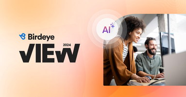 Birdeye View 2024: AI innovation at its finest