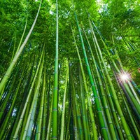 4 key ways sourcing and design impact your entire product journey 