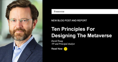 Ten Principles For Designing The Metaverse