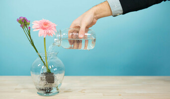 The GoPro Boldly Goes