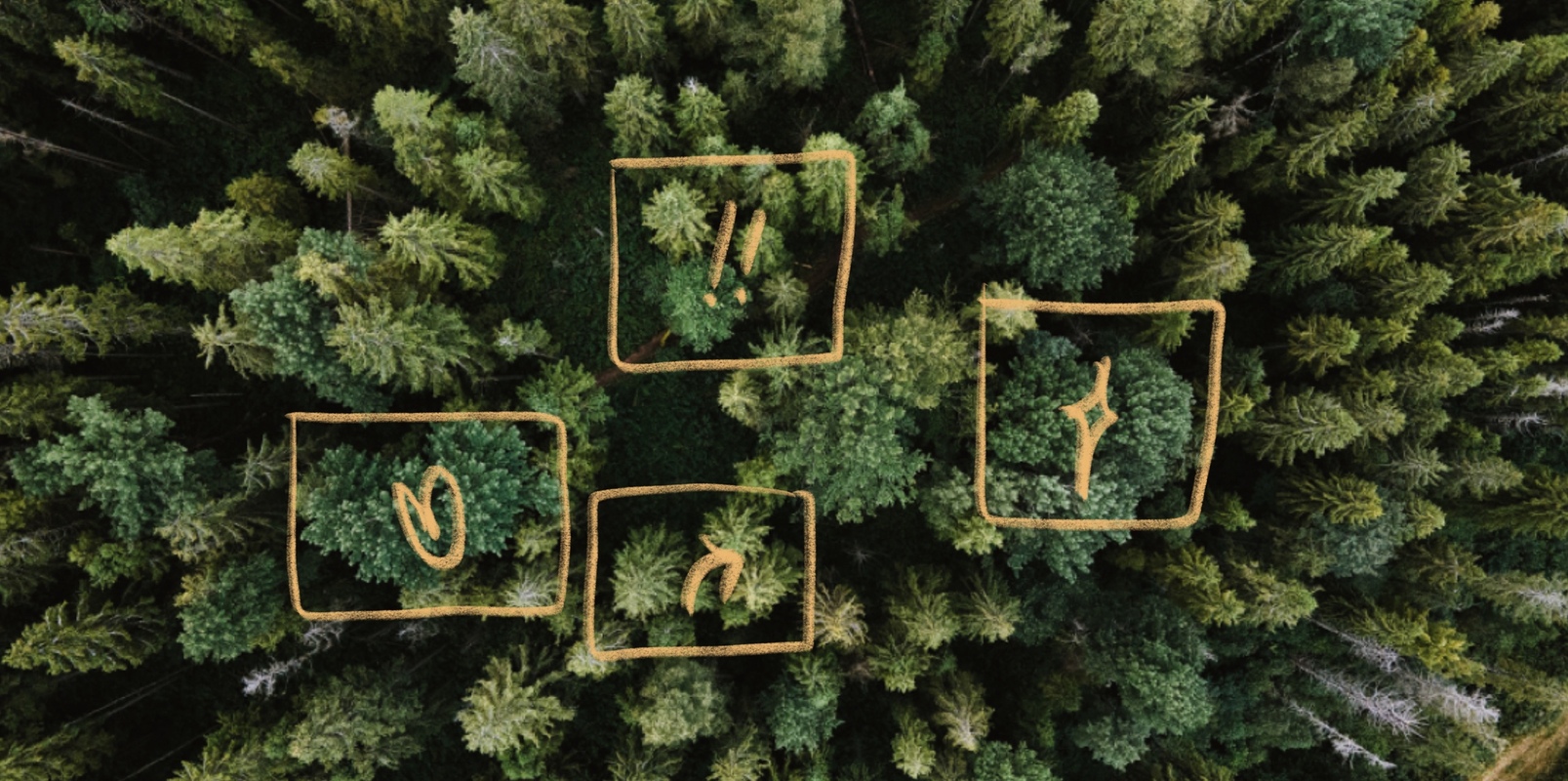 Building your professional creator tech stack? Here's what to include