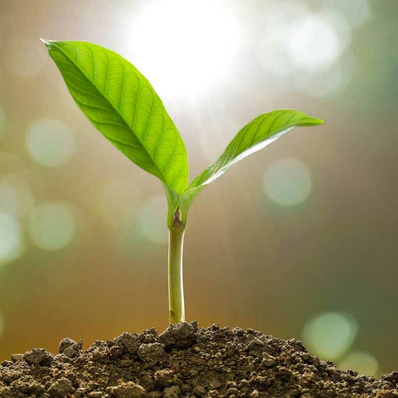 Mazars | SugarCRM UK