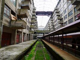 Why Multi Event Ads Are a Must for New York Adventure Club