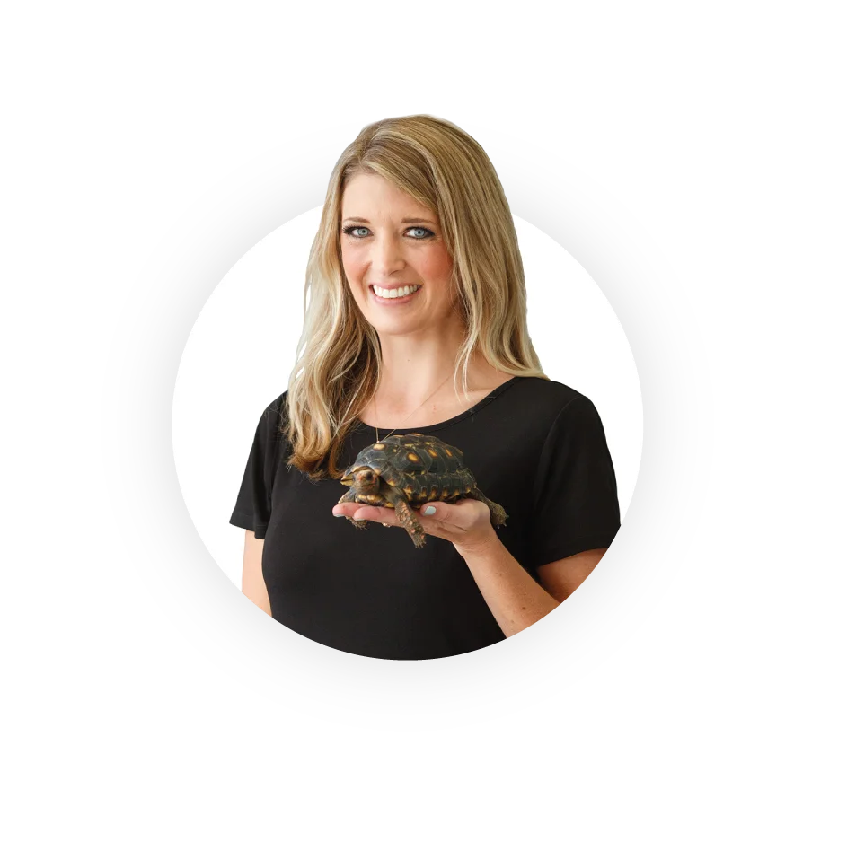 Ooltewah Veterinary Hospital