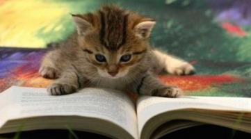 10 Customer Service Blogs You Should Bookmark