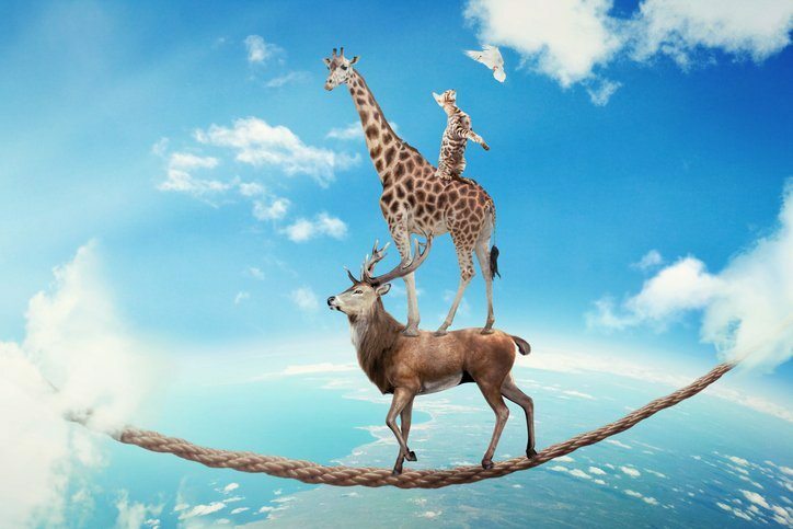 Why Customer Trust is Important in Amazon's Success