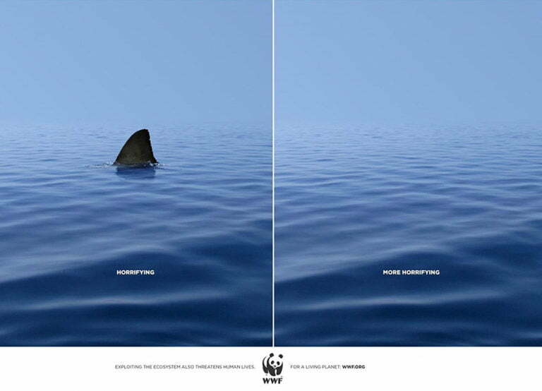 Before and after print ad for non profit - Swipe File