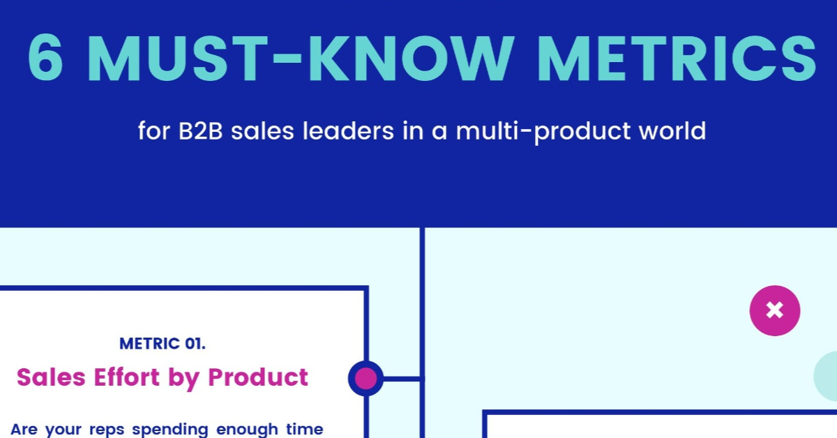 6 Metrics Every B2B Sales Leader Should Track [Infographic]