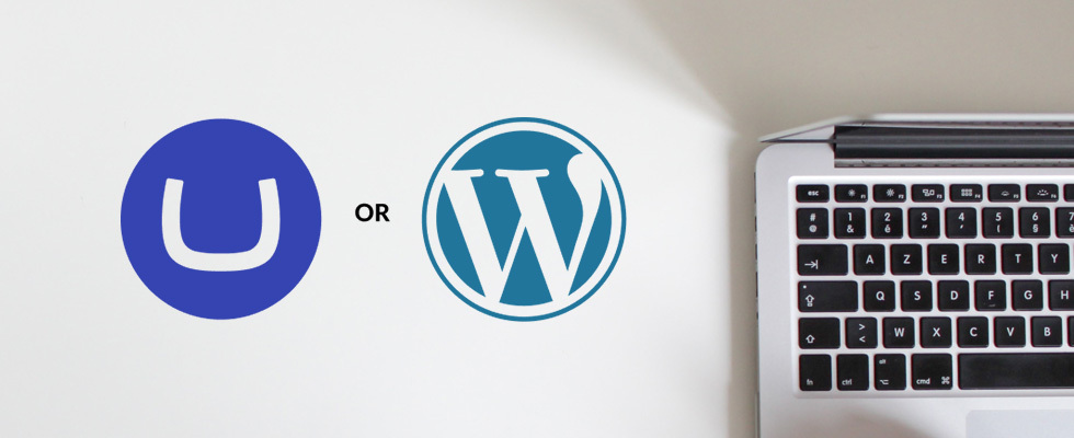 Making the Choice Between Umbraco and Wordpress