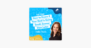 ‎The Sales Evangelist: Andee Harris | How to Know if Your Deal is Going South Sooner than Later on Apple Podcasts