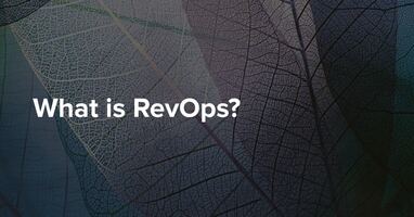 What is RevOps?