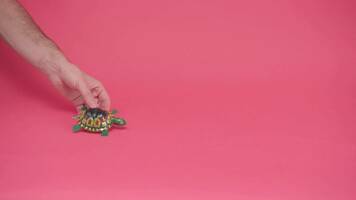 Show Launch: How to Determine Your Episode Release Cadence