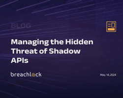Managing the Hidden Threat of Shadow APIs