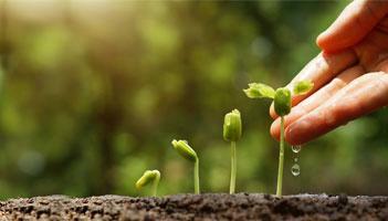6 Best Practices for Setting Up a Lead Nurturing Campaign