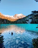 A Seven-Step Guide To A Successful Technology Sustainability Strategy